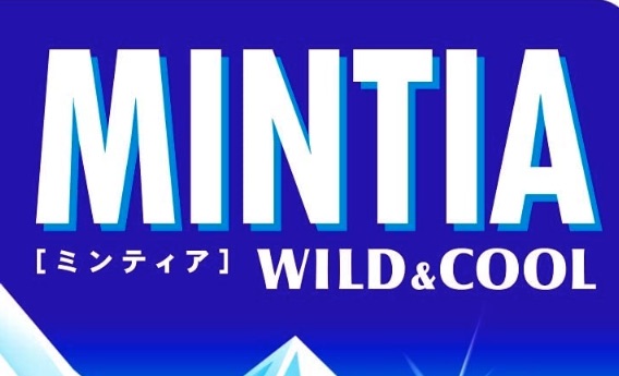 おしゃれなミンティアケース ちょっと大人の持ち物になります Shikinavi